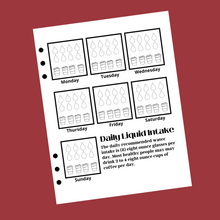 Load image into Gallery viewer, Daily Liquid Intake Planner Insert