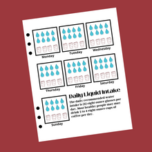 Load image into Gallery viewer, Daily Liquid Intake Planner Insert